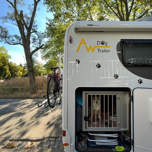 "Mia" Carado T 447, AW-Hundewohnmobil, Auf dem Campingplatz