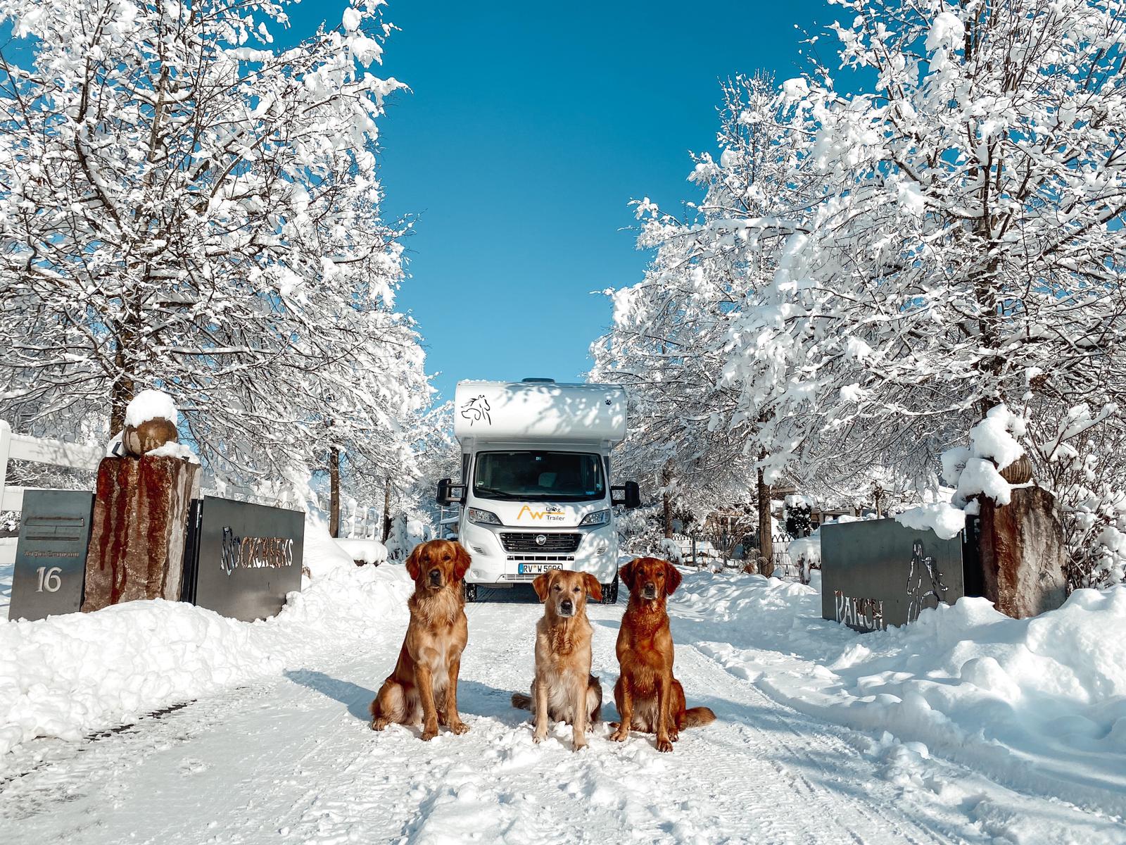 AW Hundewohnmobil, Winterbetrieb, Hundewohnmobil im Schnee